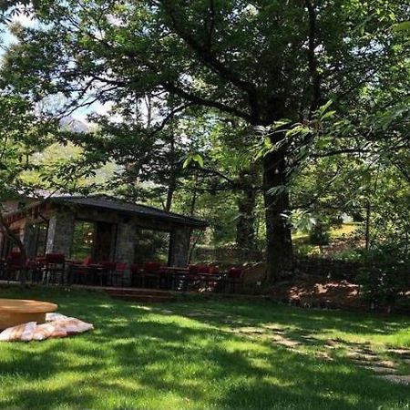 Отель Baresha Agroturizem Qafe-Grade Экстерьер фото
